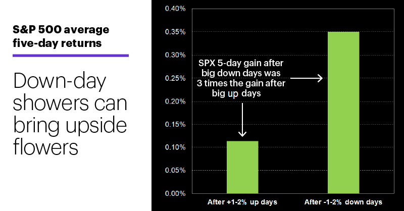 Chart 1: S&P 500 average five-day returns. Blurb: Down-day showers can bring upside flowers.