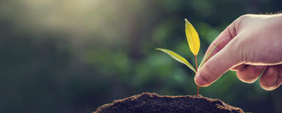 Read Now Socially Responsible Investing