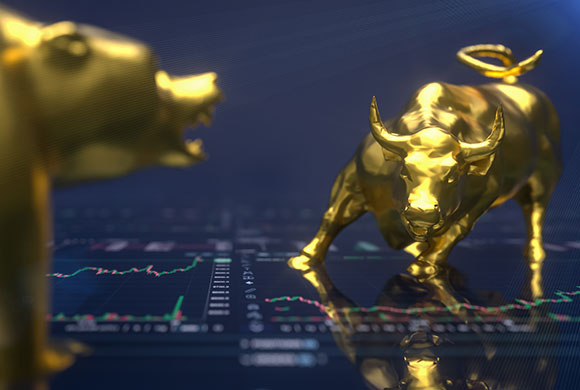 Image of bull market - banner image