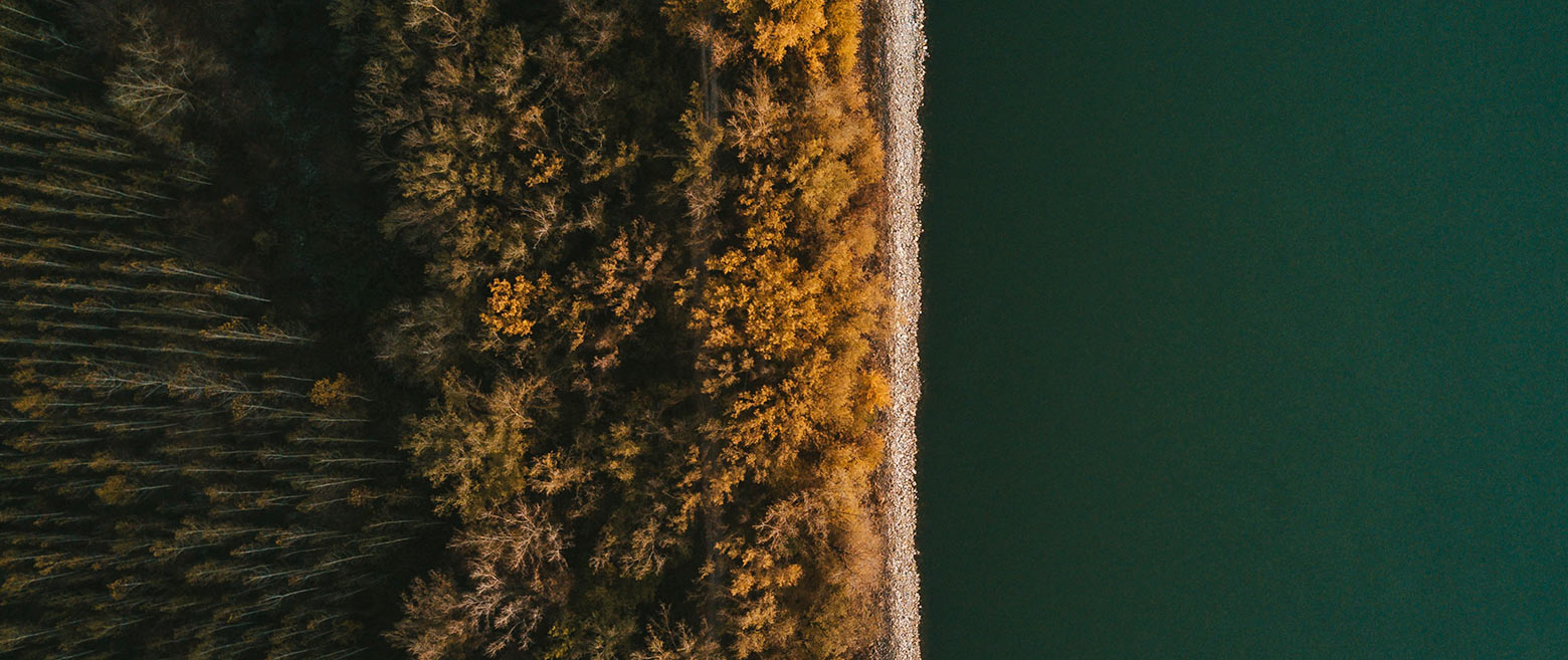 Field displaying 60% dirt and 40% trees