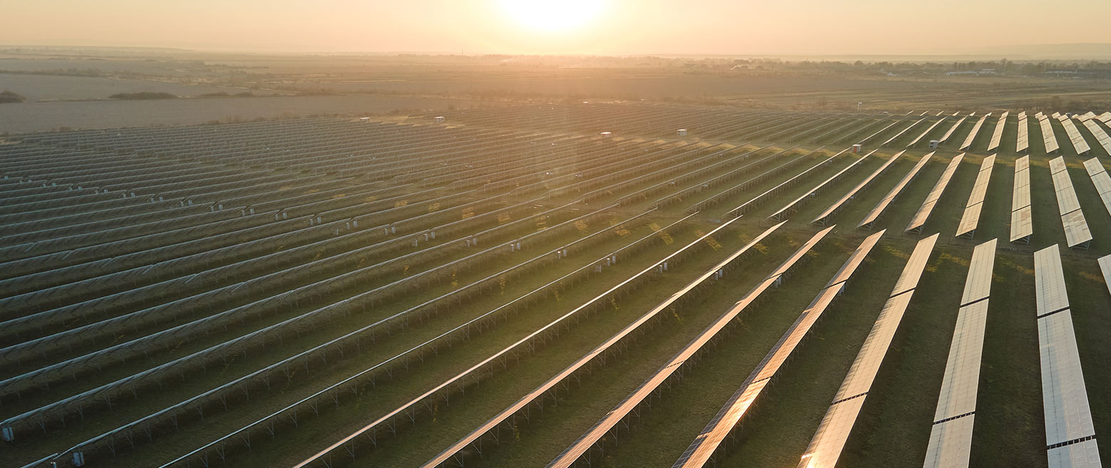 Field with solar panels