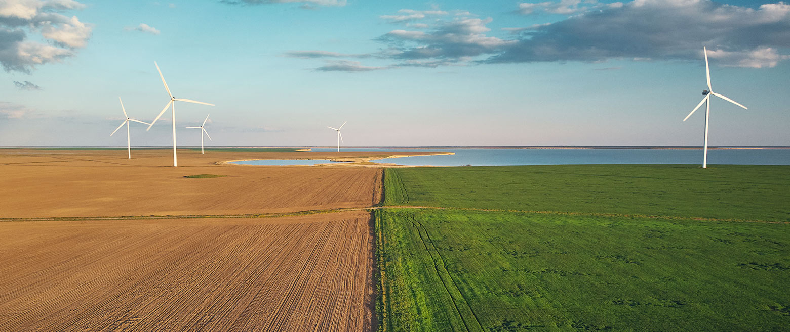 Image of a field with wind turbines