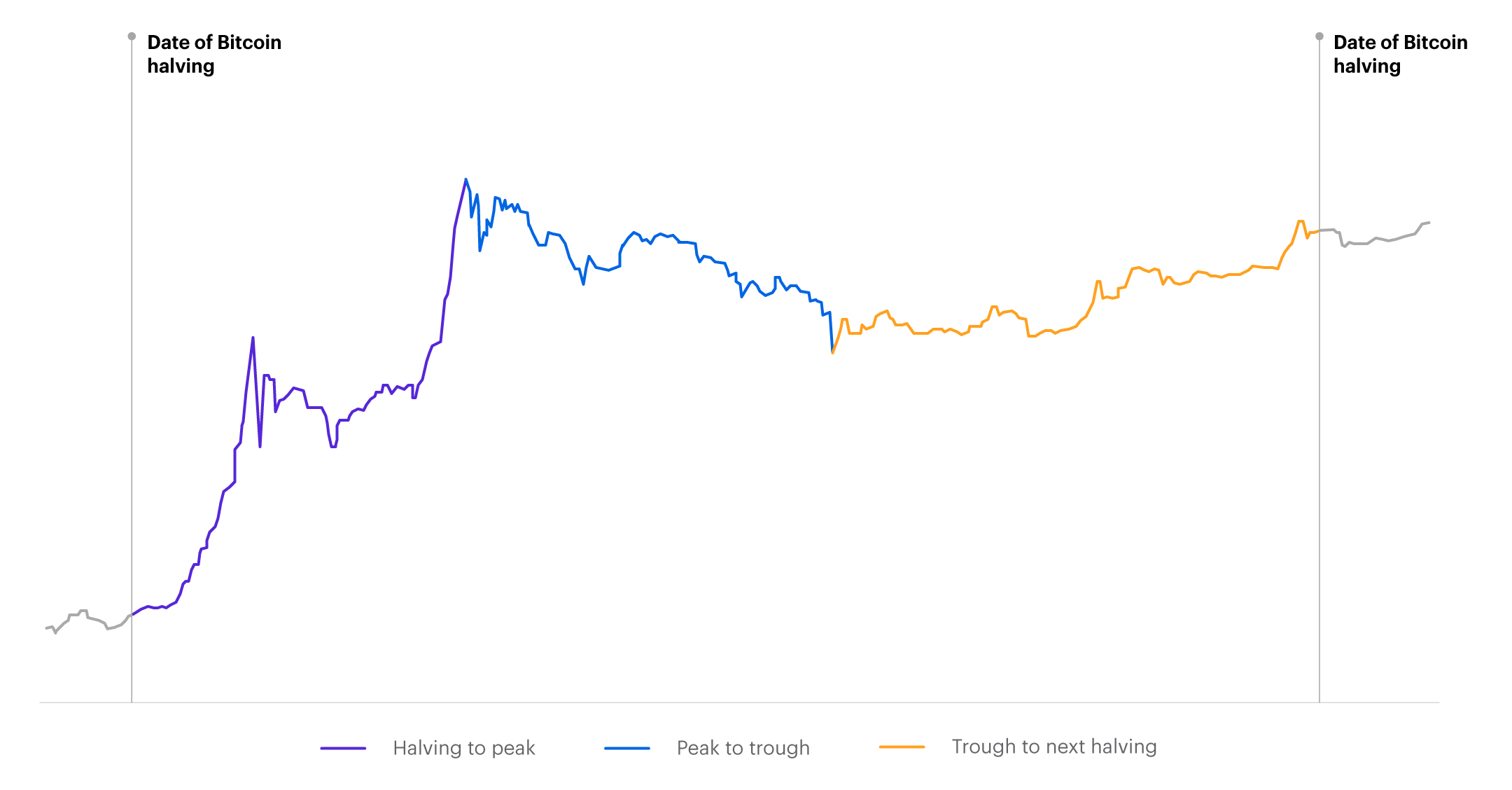 Chart displaying bitcoin price behavior around halving dates