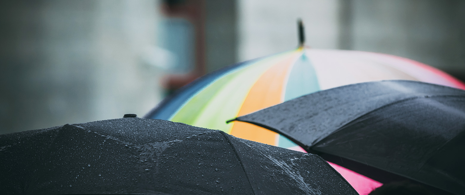 Group of umbrellas