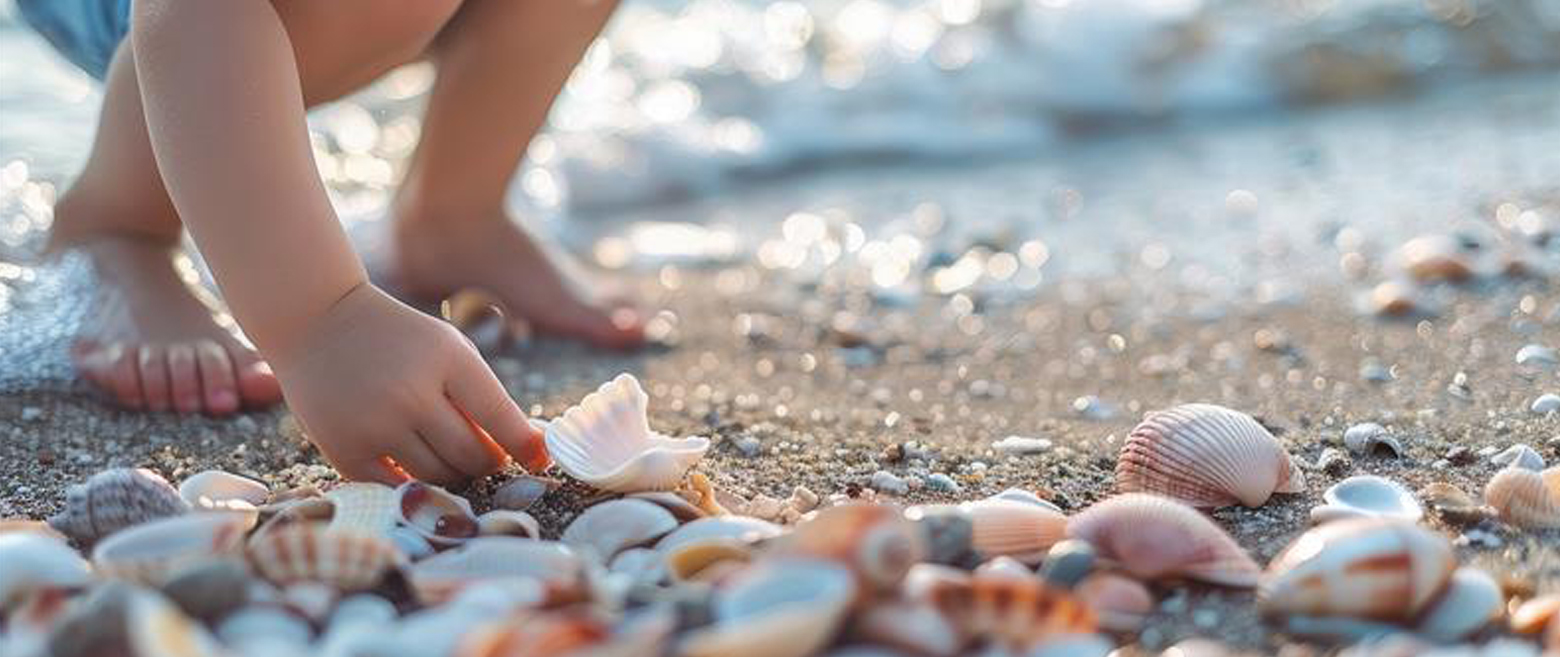 Child picking up seashells from beach