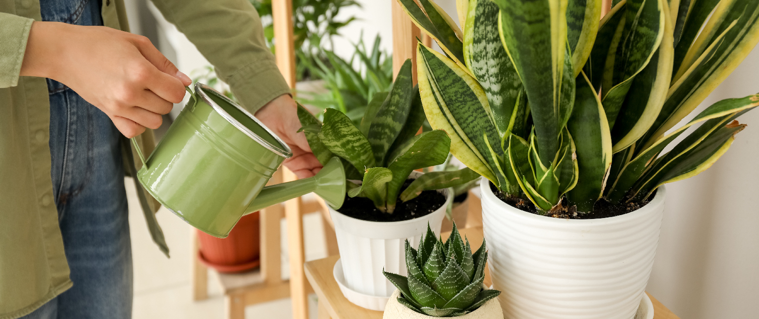 Woman flowering two different plants.