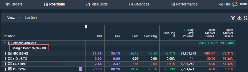 Screengrab of margin debt on positions