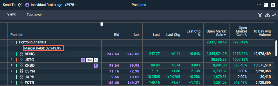 Screengrab of margin debt on positions