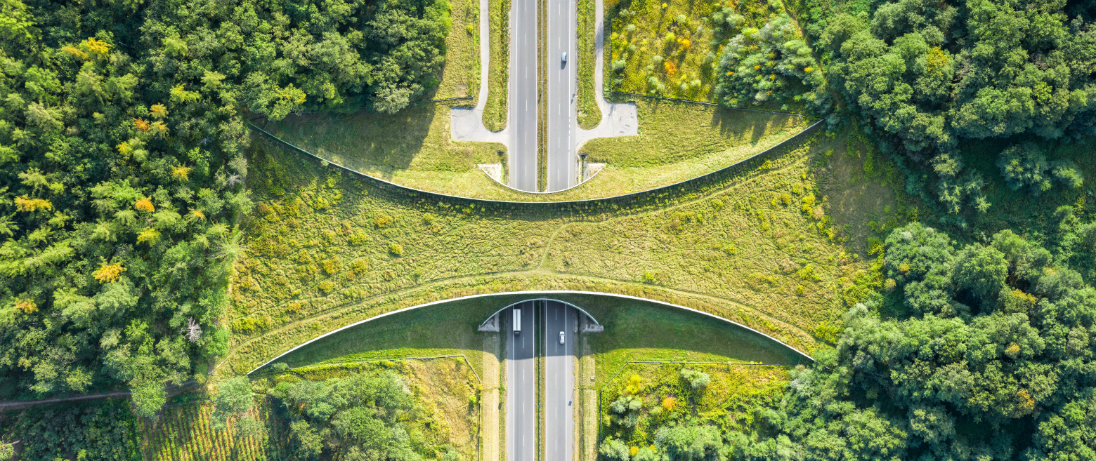 Bird's eye view of a sailboat on water