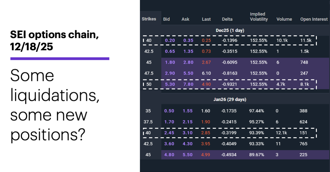 Chart 1: SEI options chain, 12/18/25. Some liquidations, some new positions?