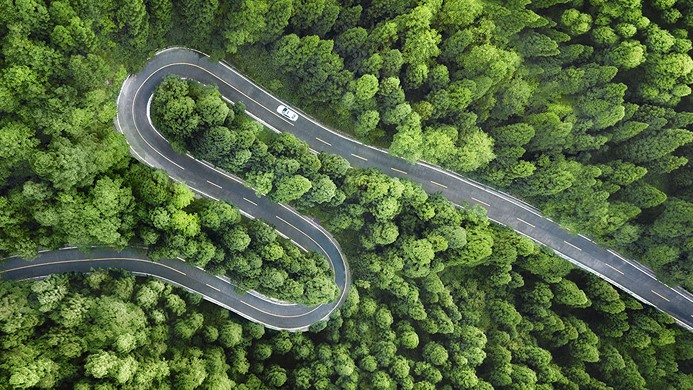 Winding road in trees