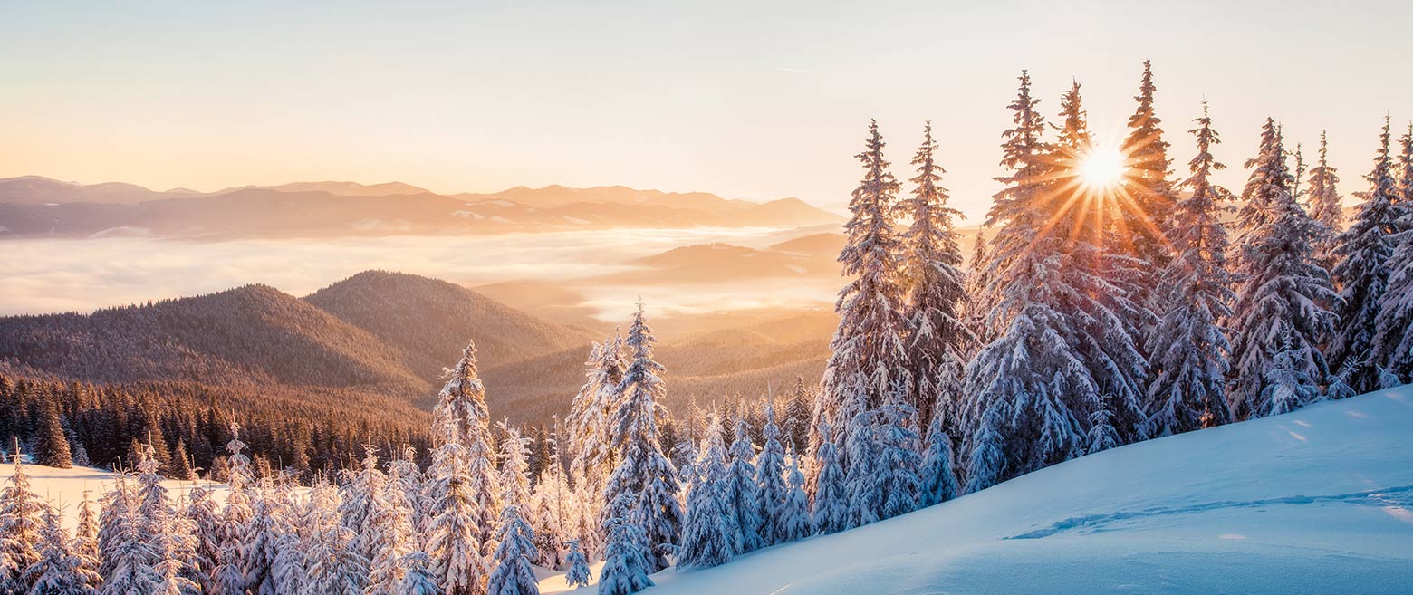 Learn more about cryptocurrency's seasonality.