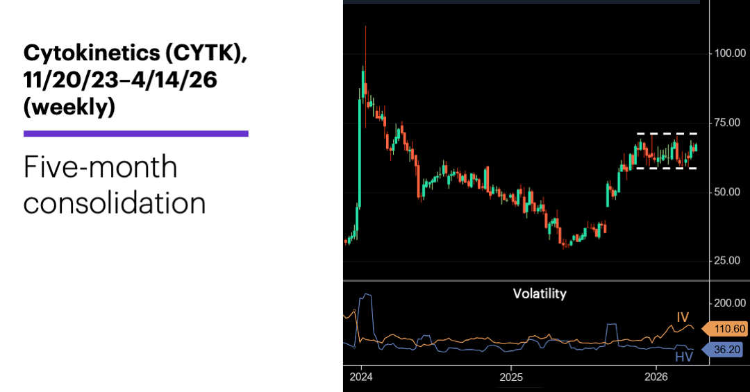 Chart 2: Cytokinetics (CYTK), 11/20/23-4/14/26 (weekly). Five-month consolidation.