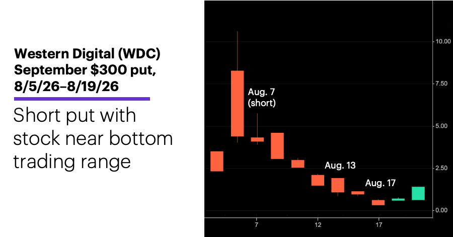 Chart 2: Western Digital (WDC) September $300 put, 8/6/26–8/19/26