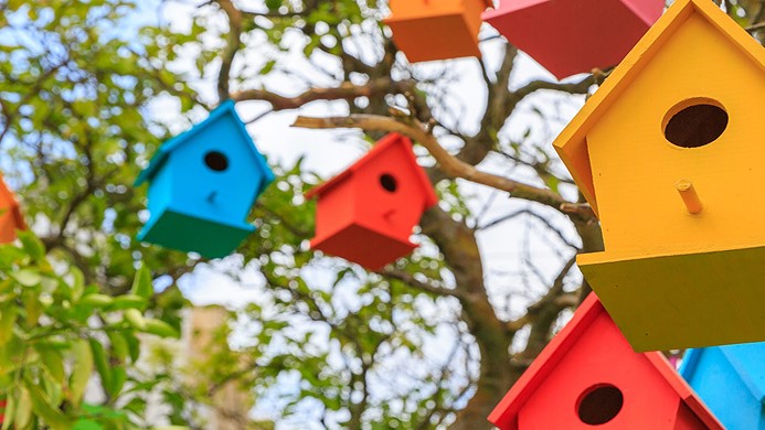 Bird boxes