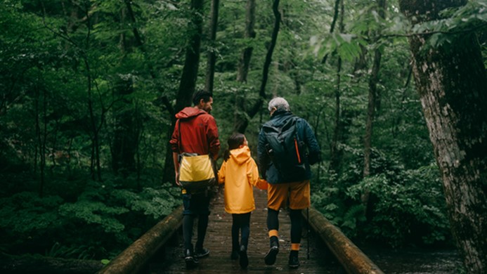 Family walking in a forest